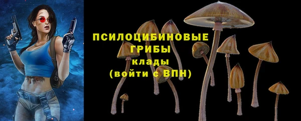 спайс Шарыпово