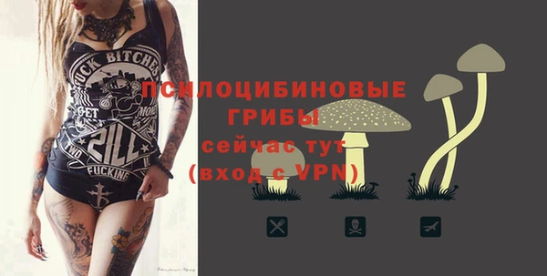 спайс Дмитров