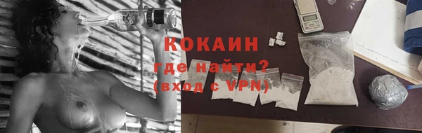 прущие грибы Шали