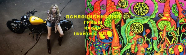 бутират Дмитриев