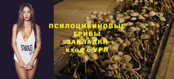 спайс Дмитров