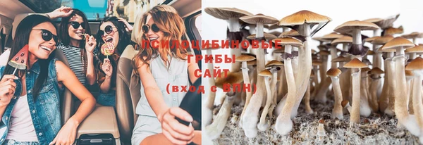 спайс Дмитров