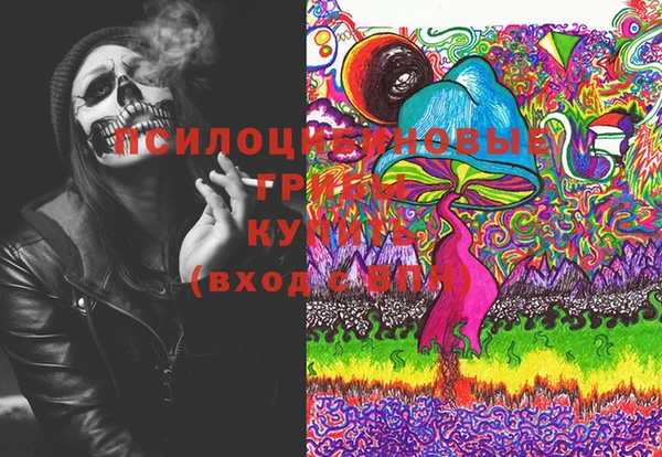 бутират Дмитриев