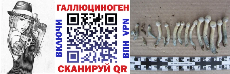мега рабочий сайт  купить наркоту  Новокубанск  Галлюциногенные грибы GOLDEN TEACHER 