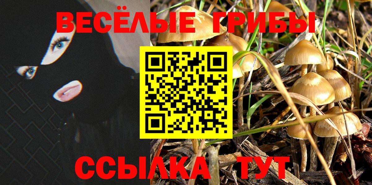 Псилоцибиновые грибы Psilocybe  Вход с VPN  Новокубанск 