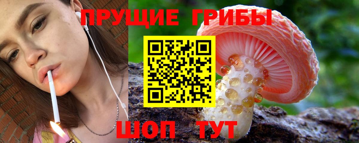 Псилоцибиновые грибы GOLDEN TEACHER Новокубанск