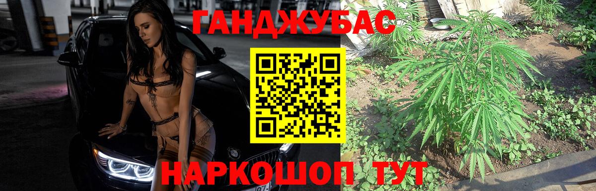 Каннабис OG Kush Новокубанск